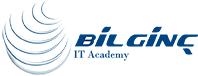 Bilginc
